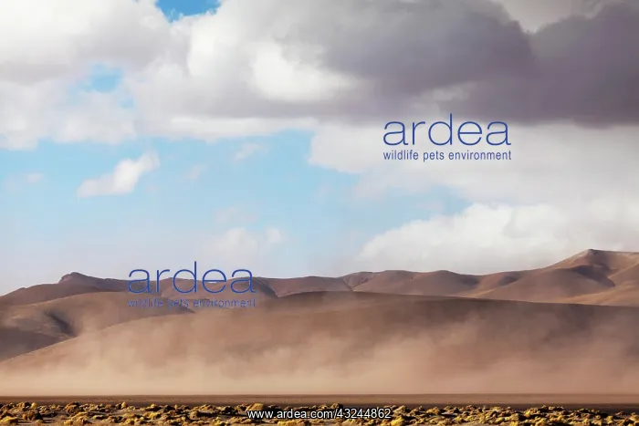 : South America, Argentina, Province Salta