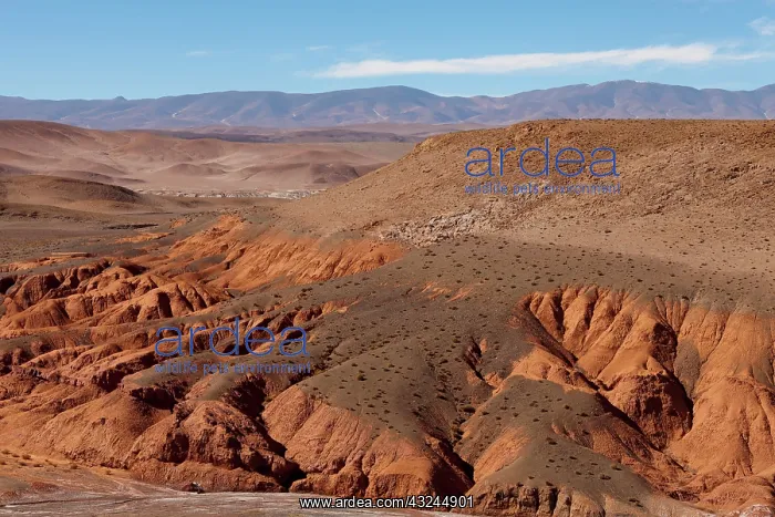 : South America, Argentina, Province Salta : South America, Argentina, Province Salta