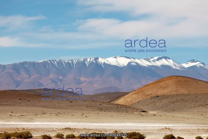 : South America, Argentina, Province Salta : South America, Argentina, Province Salta