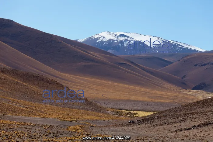 : South America, Argentina, Province Salta : South America, Argentina, Province Salta
