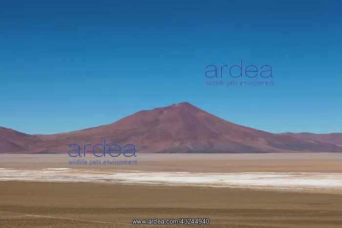 : South America, Argentina, Province Salta : South America, Argentina, Province Salta