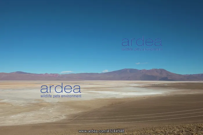 : South America, Argentina, Province Salta : South America, Argentina, Province Salta