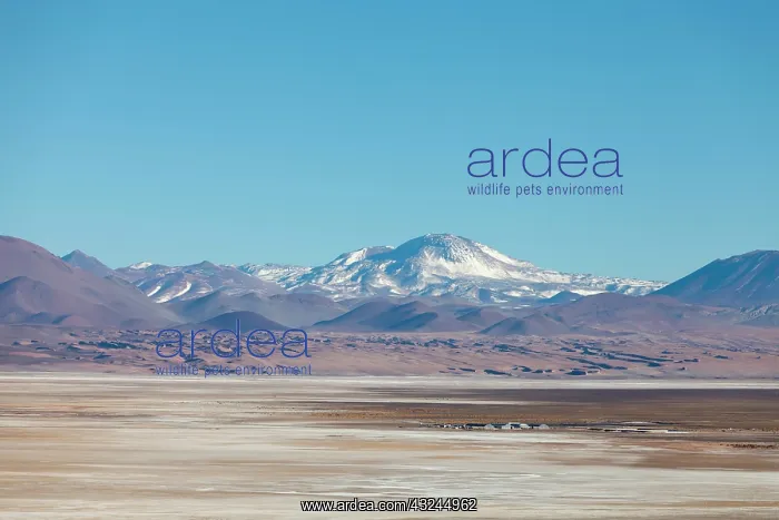 : South America, Argentina, Province Salta : South America, Argentina, Province Salta