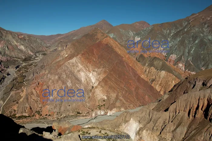 : South America, Argentina, Province Salta : South America, Argentina, Province Salta
