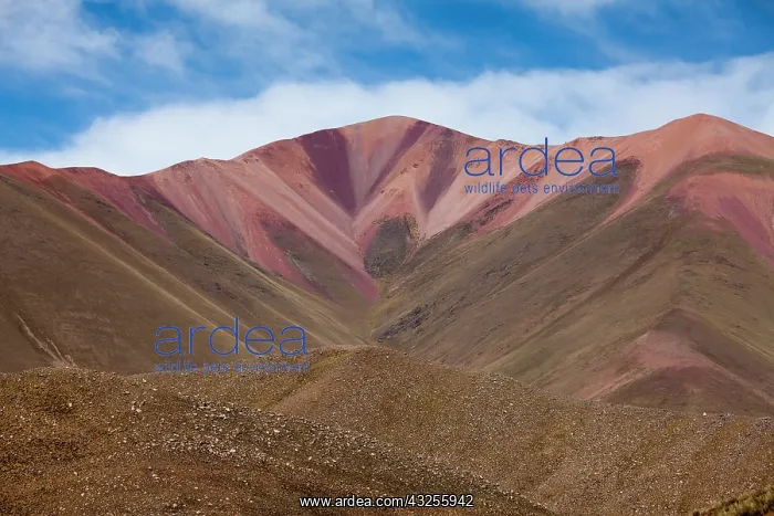 : South America, Argentina, Province Salta : South America, Argentina, Province Salta