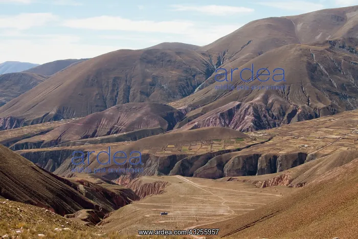  : South America, Argentina, Province Salta