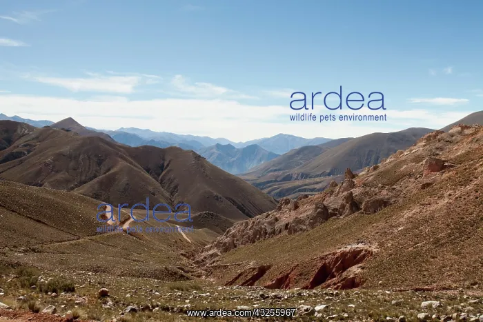 : South America, Argentina, Province Salta : South America, Argentina, Province Salta