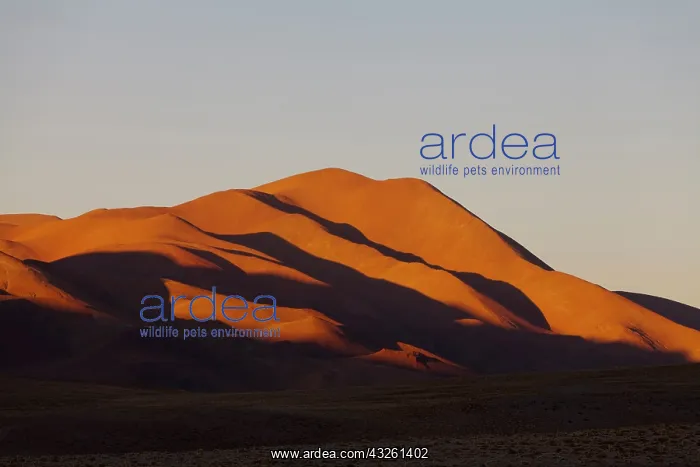 : South America, Argentina, Province Salta : South America, Argentina, Province Salta