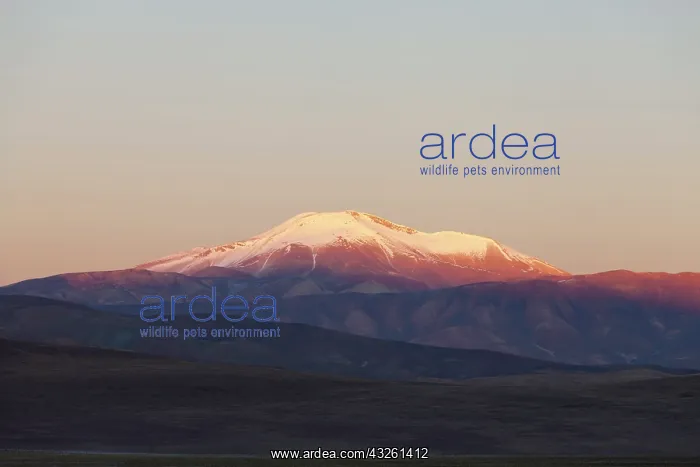 : South America, Argentina, Province Salta : South America, Argentina, Province Salta