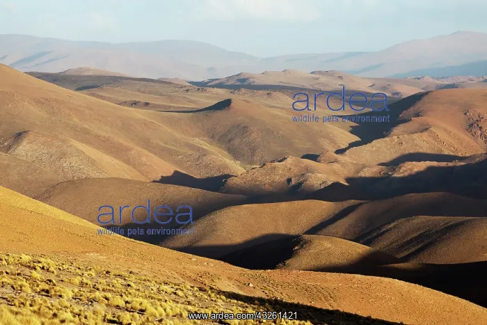 : South America, Argentina, Province Salta : South America, Argentina, Province Salta