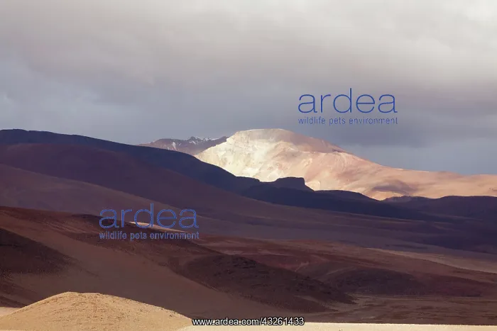 : South America, Argentina, Province Salta : South America, Argentina, Province Salta