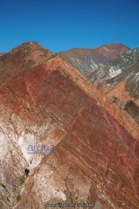 : South America, Argentina, Province Salta : South America, Argentina, Province Salta