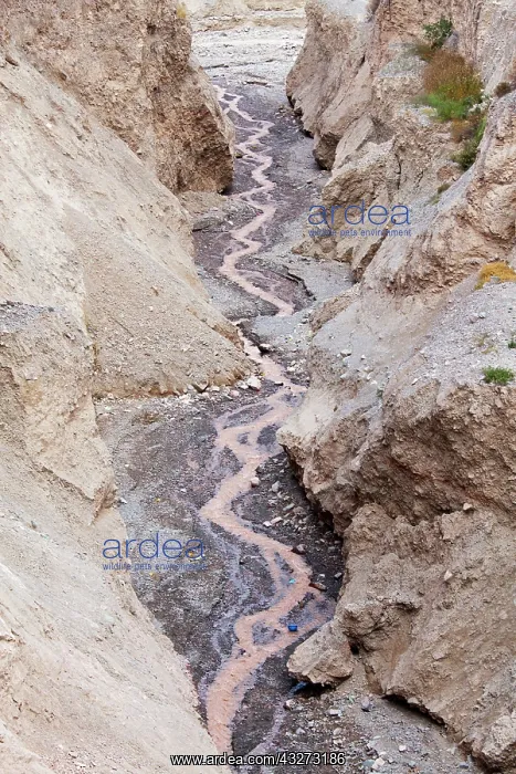 : South America, Argentina, Province Salta : South America, Argentina, Province Salta