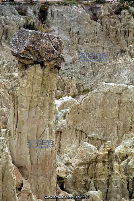 : South America, Bolivia, Mallasa. Landscape : South America, Bolivia, Mallasa. Landscape