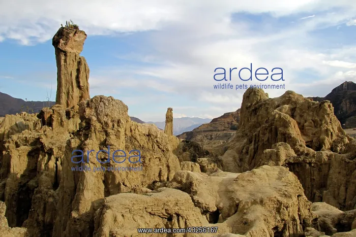 : South America, Bolivia, Mallasa. Landscape : South America, Bolivia, Mallasa. Landscape