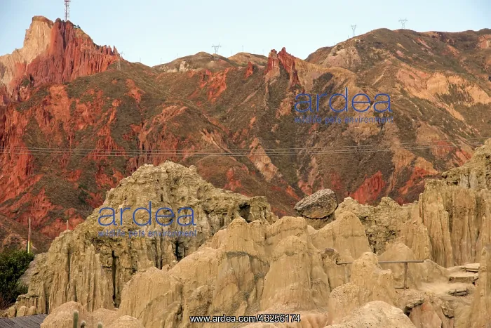 : South America, Bolivia, Mallasa. Landscape : South America, Bolivia, Mallasa. Landscape