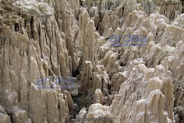 : South America, Bolivia, Mallasa. Landscape : South America, Bolivia, Mallasa. Landscape