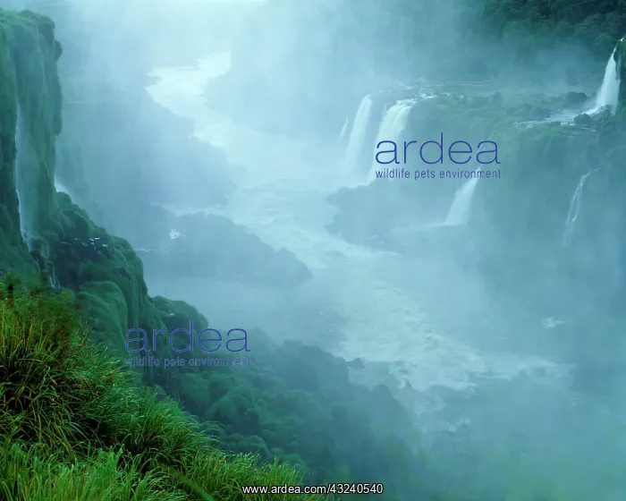 : South America, Brazil. Misty scenic of Iguasu : South America, Brazil. Misty scenic of Iguasu
