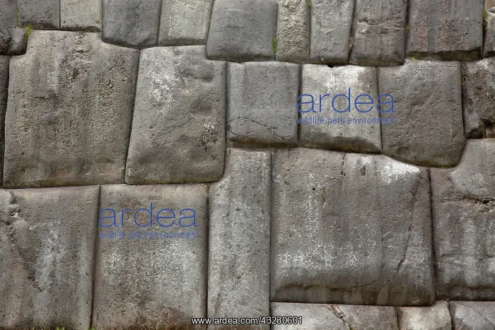 : South America, Peru, Cuzco. Details of an : South America, Peru, Cuzco. Details of an