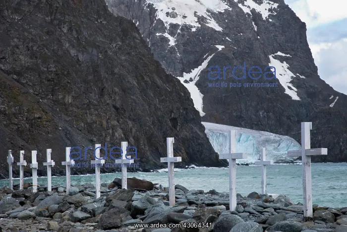 : South Atlantic, South Orkney Islands, Laurie : South Atlantic, South Orkney Islands, Laurie