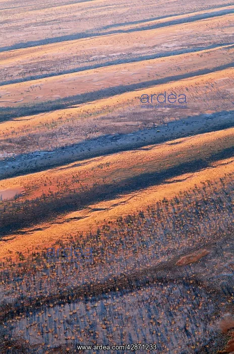 : South Australia - Simpson desert showing parallel : South Australia - Simpson desert showing parallel