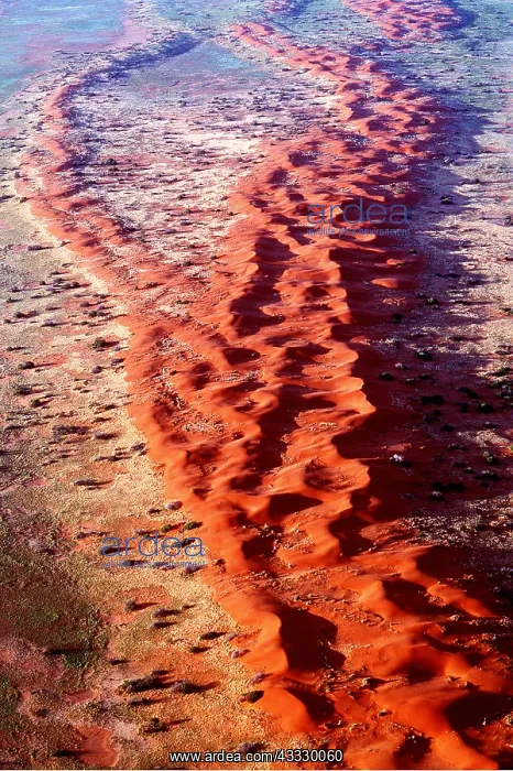 : South AUSTRALIA - Strzelecki Desert - Red longitundinal : South AUSTRALIA - Strzelecki Desert - Red longitundinal