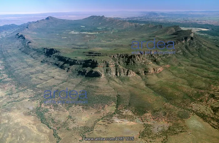 : South Australia - Wilpena Pound : South Australia - Wilpena Pound