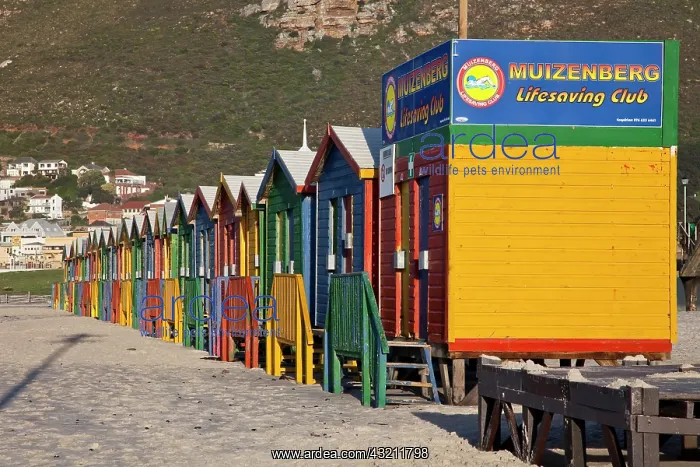: South Cape Town. Brightly colored beach : South Cape Town. Brightly colored beach