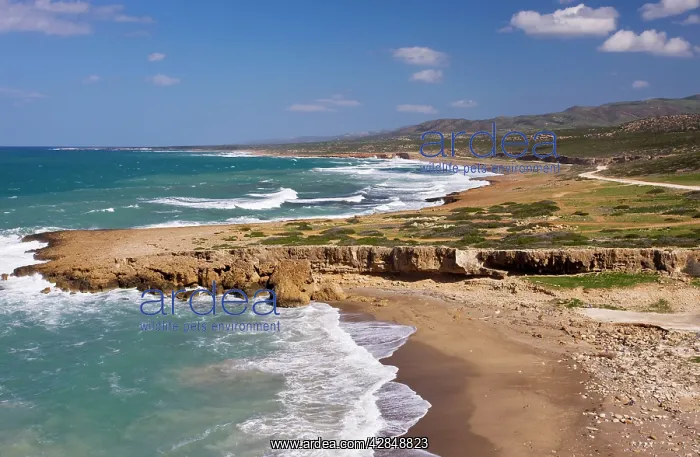 : South coast of the Akamas Peninsula, near Lara; : South coast of the Akamas Peninsula, near Lara;