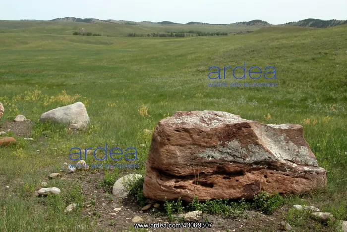 : South Dakota Prairie : South Dakota Prairie