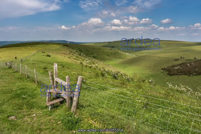 : South Downs - Caburn Bottom - East Sussex - UK : South Downs - Caburn Bottom - East Sussex - UK