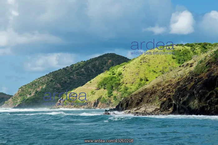 : South East Coast, Antigua, West Indies : South East Coast, Antigua, West Indies