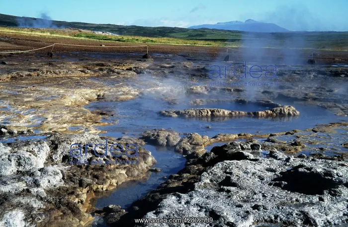 : South-East Iceland - Geyser with Sulphur, boiling water etc : South-East Iceland - Geyser with Sulphur, boiling water etc