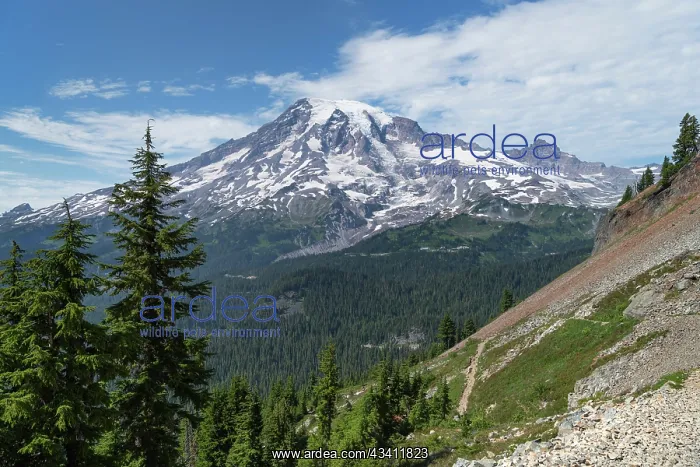 : South Face of Mount Rainier seen from Pinnacle Peak : South Face of Mount Rainier seen from Pinnacle Peak