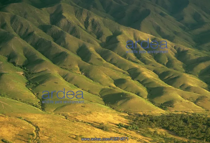 : South Flinders Ranges : South Flinders Ranges
