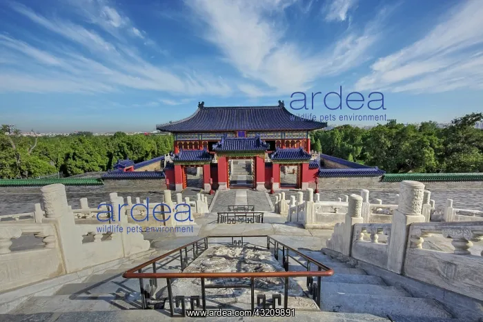  : South Gate, Temple of Heaven, Beijing, China