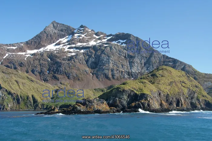 : South Georgia Island, Godthul. Waterfront : South Georgia Island, Godthul. Waterfront