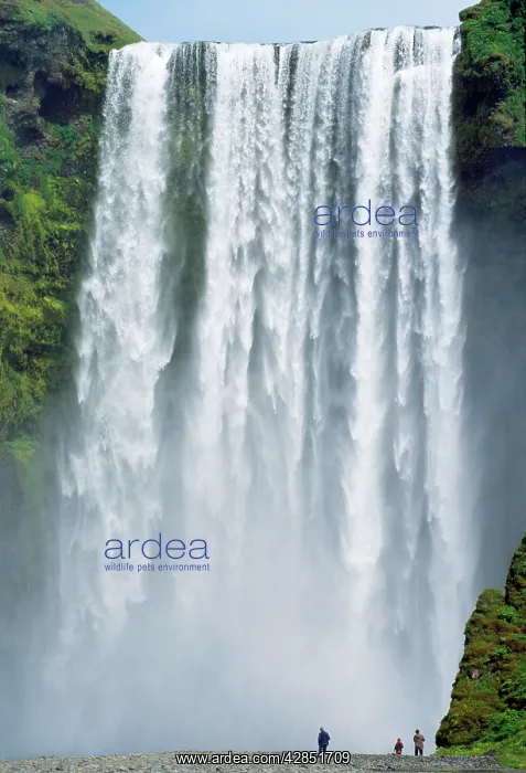 : South Iceland - Skogafoss Waterfall : South Iceland - Skogafoss Waterfall