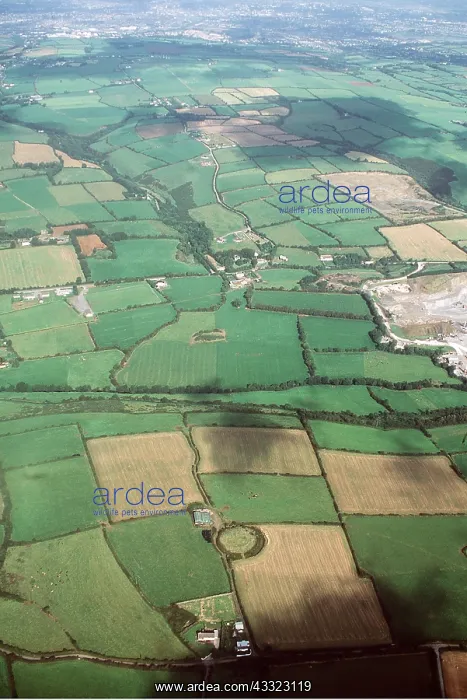 : South IRELAND - aerial of Field patterns : South IRELAND - aerial of Field patterns