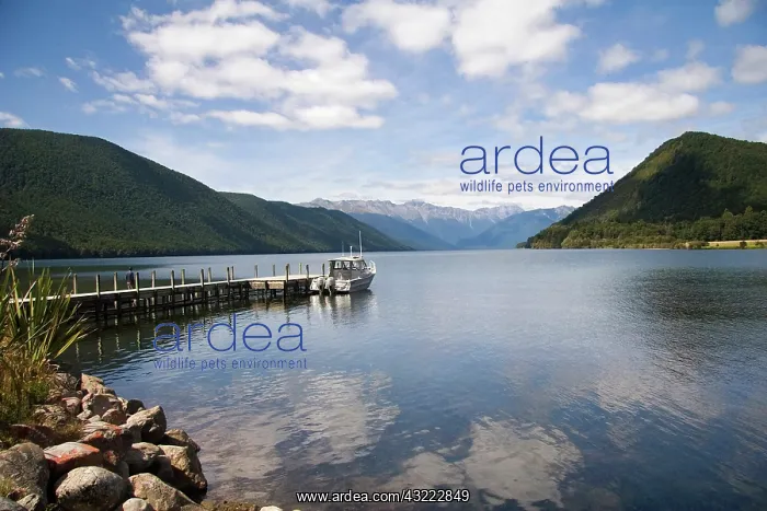 : South Island, New Zealand. A beautiful glacial : South Island, New Zealand. A beautiful glacial
