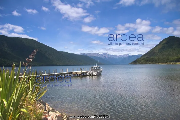: South Island, New Zealand. A beautiful glacial : South Island, New Zealand. A beautiful glacial