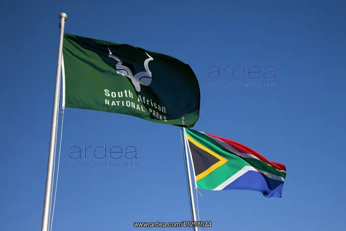 : South Namaqua National Park. South African : South Namaqua National Park. South African
