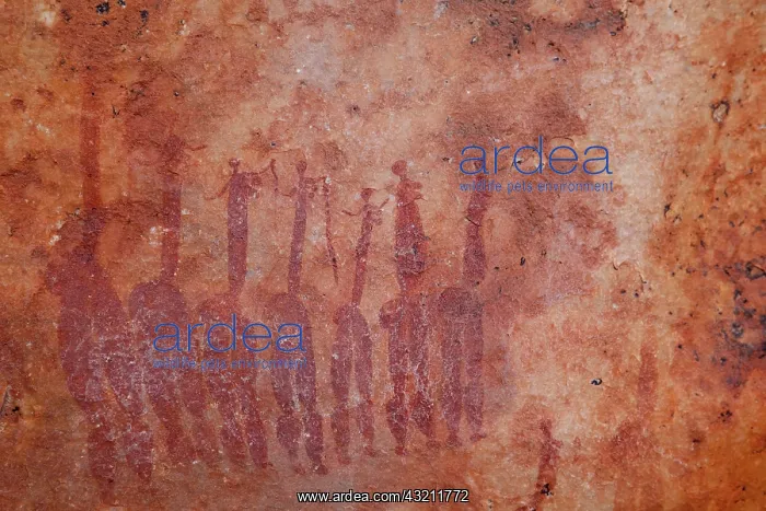 : South Northern Cederberg Pakhuis Conservancy : South Northern Cederberg Pakhuis Conservancy