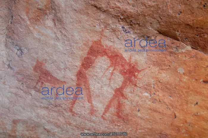 : South Northern Cederberg Pakhuis Conservancy : South Northern Cederberg Pakhuis Conservancy