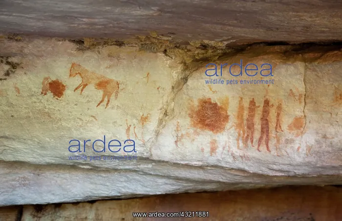 : South Northern Cederberg Pakhuis Conservancy : South Northern Cederberg Pakhuis Conservancy