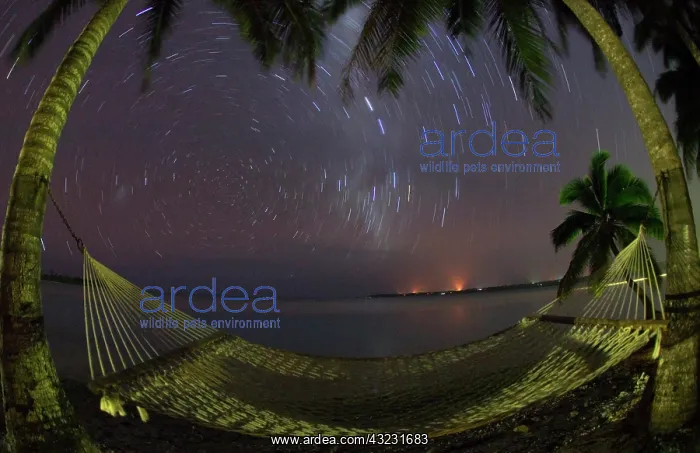 : South Pacific, Cook Islands, Aitutaki. Stars : South Pacific, Cook Islands, Aitutaki. Stars