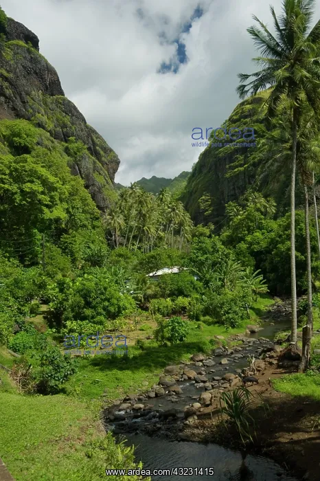 : South Pacific; French Polynesia, Marquesas : South Pacific; French Polynesia, Marquesas