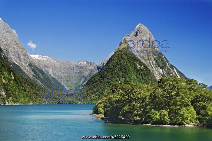 : South Pacific, New Zealand, South Island : South Pacific, New Zealand, South Island