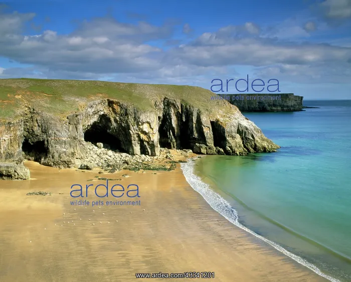 : South WALES - Pembrokeshire coast : South WALES - Pembrokeshire coast