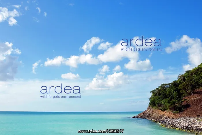 : South west Coast, Antigua, West Indies : South west Coast, Antigua, West Indies
